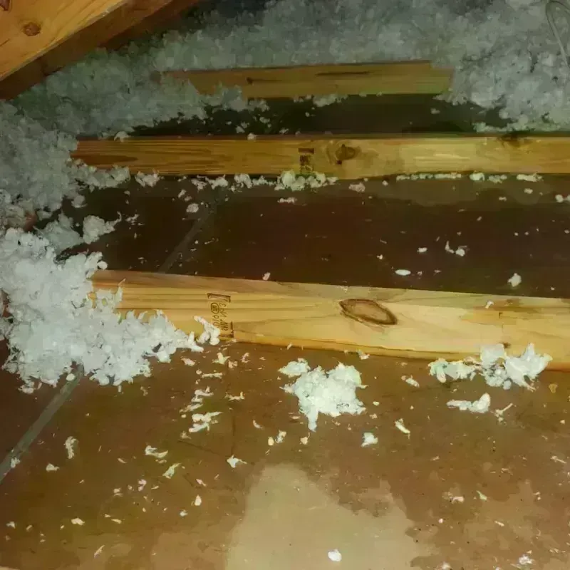 Attic Water Damage in Sunset, FL