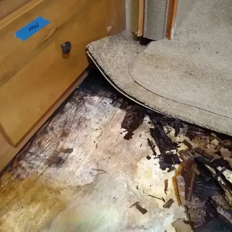 Wood Floor Water Damage in Sunset, FL